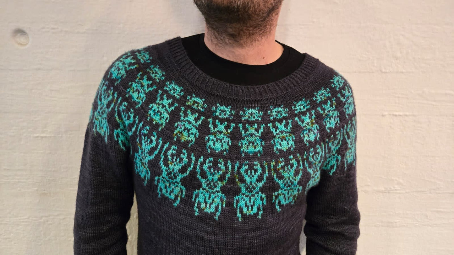 Kit: Beetlejuicy Pullover