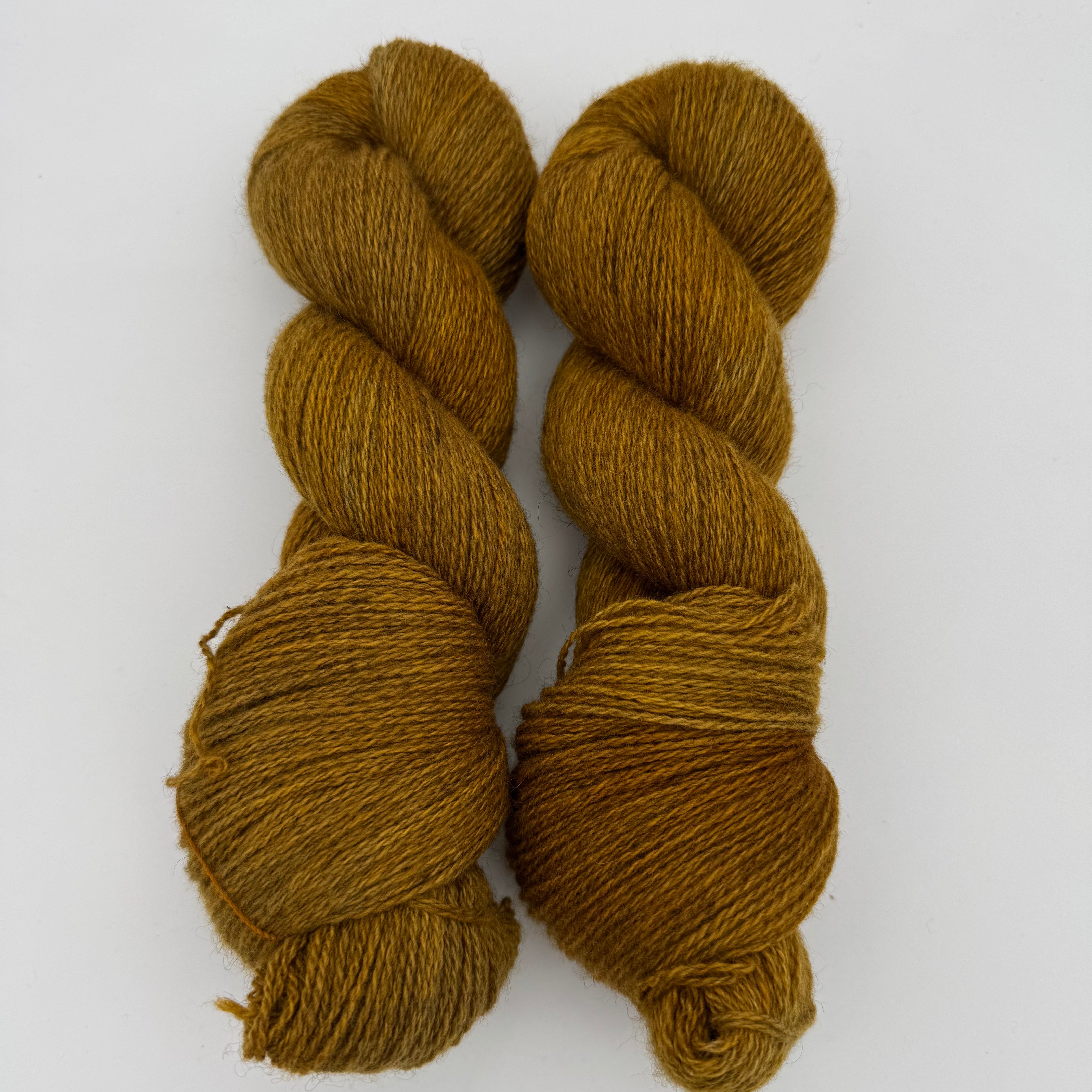 Dynasty Light Bundle: Ochre (200 grams)